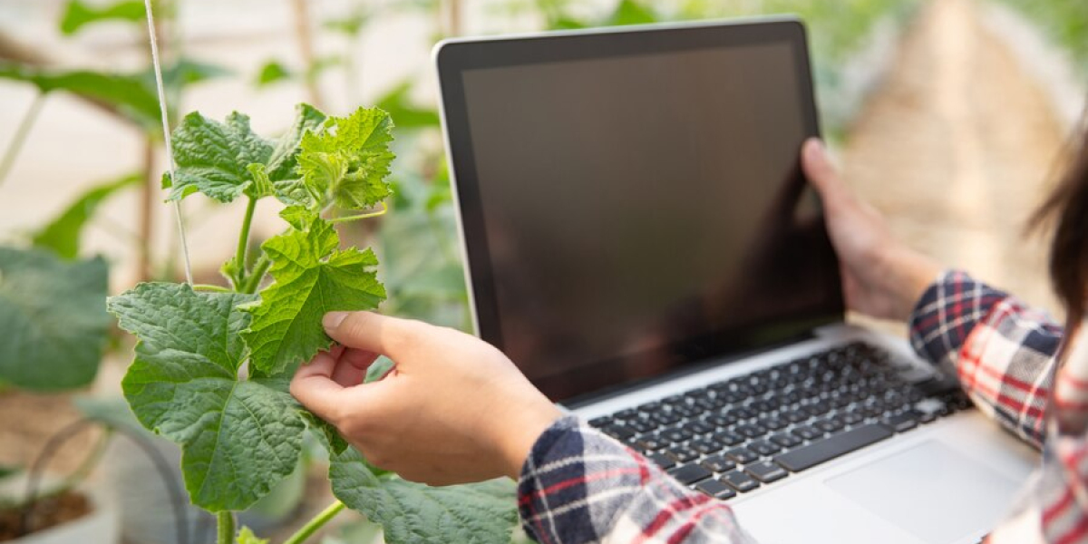 Buy our Hydroponics Contact Lists for data-driven campaigns