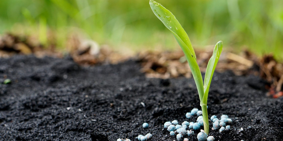 Rising Demand Drives Fertilizer Additives Market to US$ 1,685.96 Million by 2032
