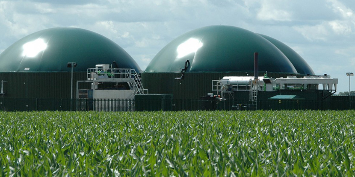 United Kingdom Biogas Market to Surge at 6.4% CAGR, Aiming for US$ 58 Billion by 2033