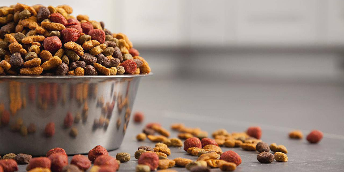 Pet Food Market Exploring the Growth, Size Analysis, Share and Forecast by 2028