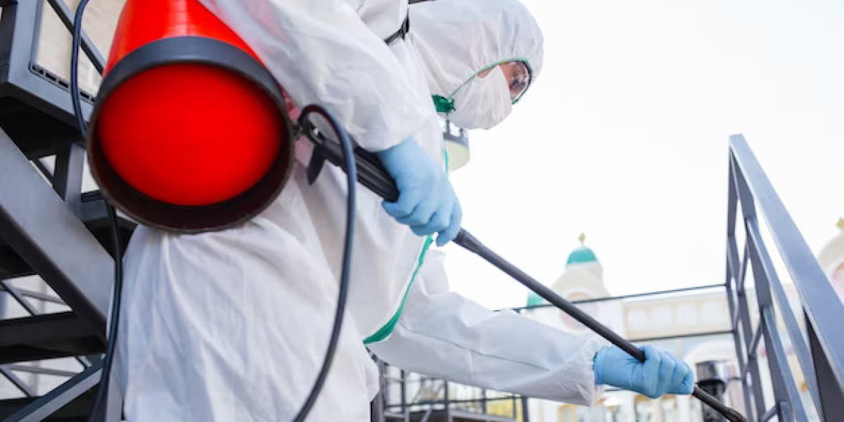 The Hidden Dangers of DIY Pest Control: Why You Need Experts