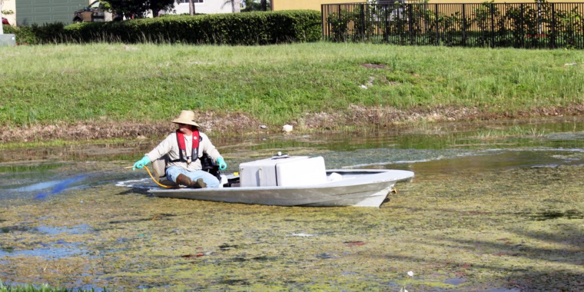 Aquatic Herbicides Market Is Likely To See Massive Surge In Demand And Growth In The Forecast Period 2023-2032