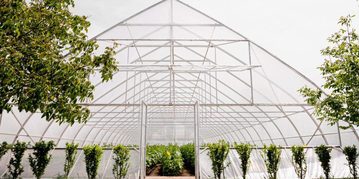 Global Greenhouse Films Market Size, Share, and Forecast 2022 - 2032