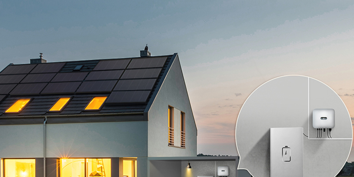 Future Prospects and Dynamics of the Residential Battery Market