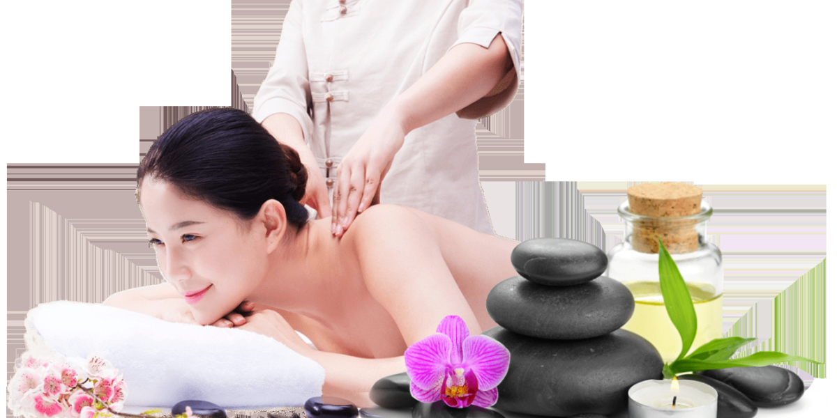 Secourra Body Massage Spa in Agra