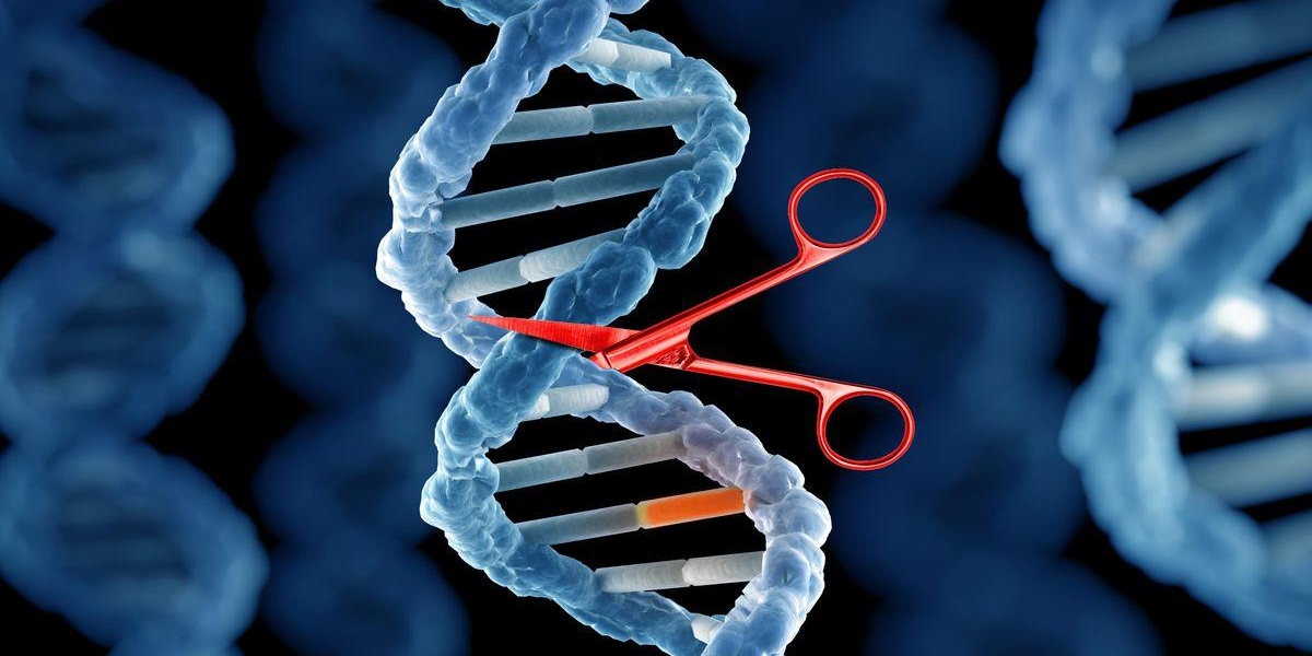 Global CRISPR Technology Market Is Estimated To Witness High Growth