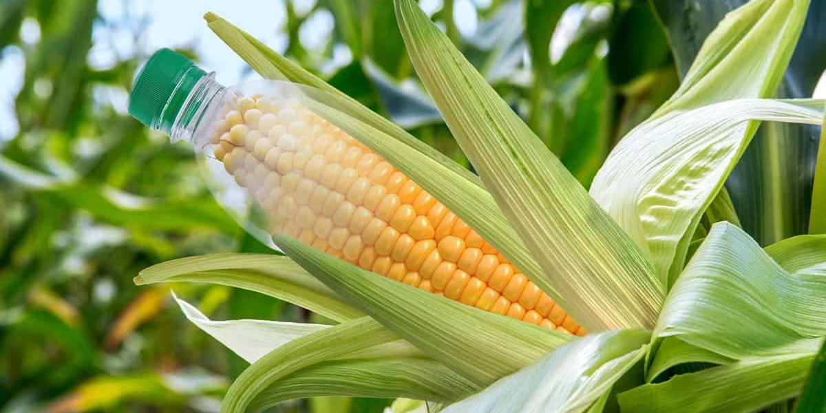 Future Prospects of the Bioplastic Composites Market