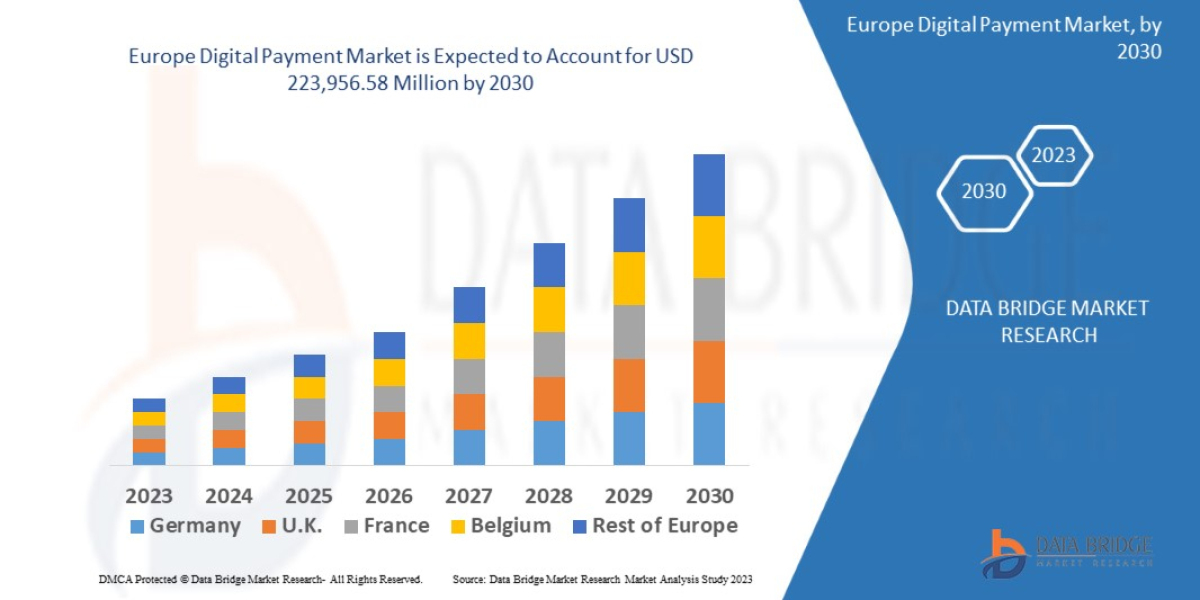 Europe Digital Payment Market Growth Prospects, Trends and Forecast by 2030
