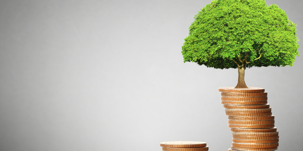 Green Bond Market Outlook: Sustainable Finance on the Rise