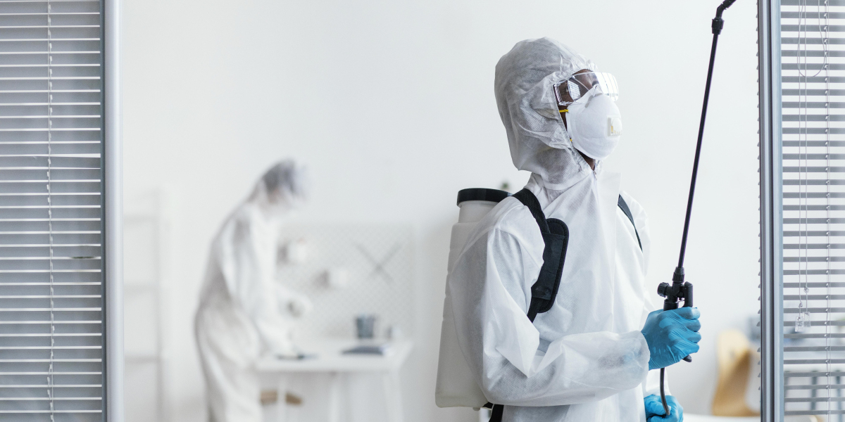 Pest Control Services vs Termites: The Ultimate Battle for Your Property