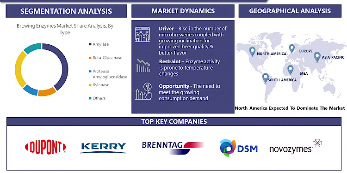 Global Brewing Enzymes Market Increasing Size, Demand, Growth Rate, And Forecast 2030