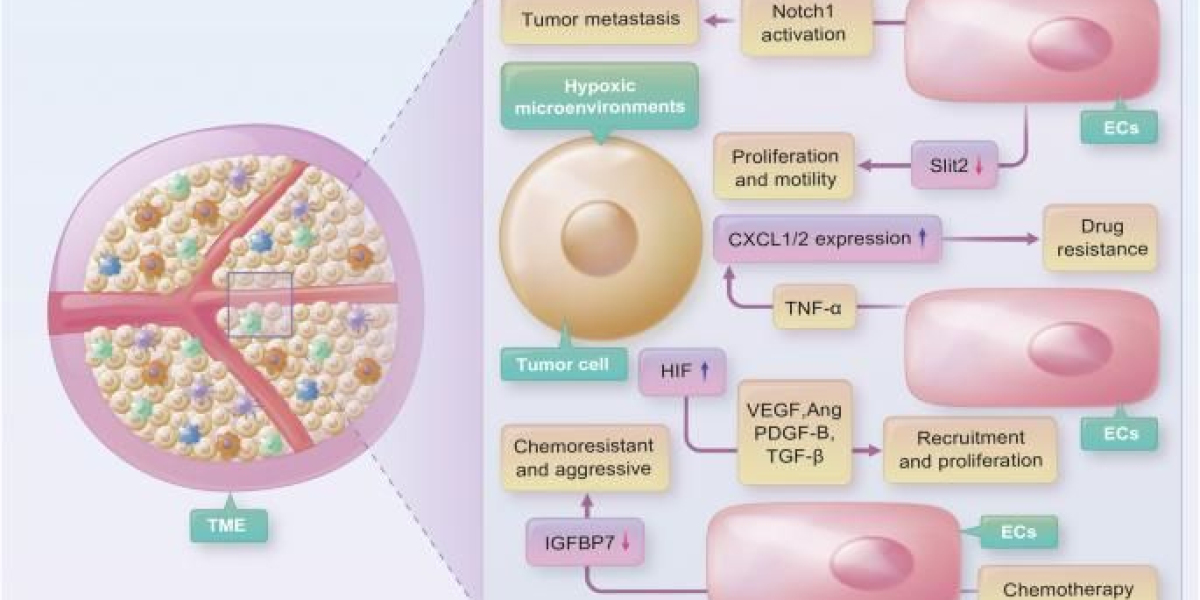 Implantable Pump Market Size, Key Opportunities, Strategic Assessment, Strong Revenue
