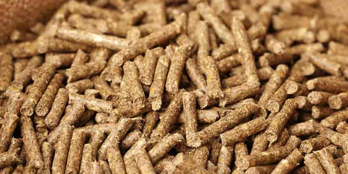 Cattle Feed Manufacturing Plant Project Report 2023 | Syndicated Analytics