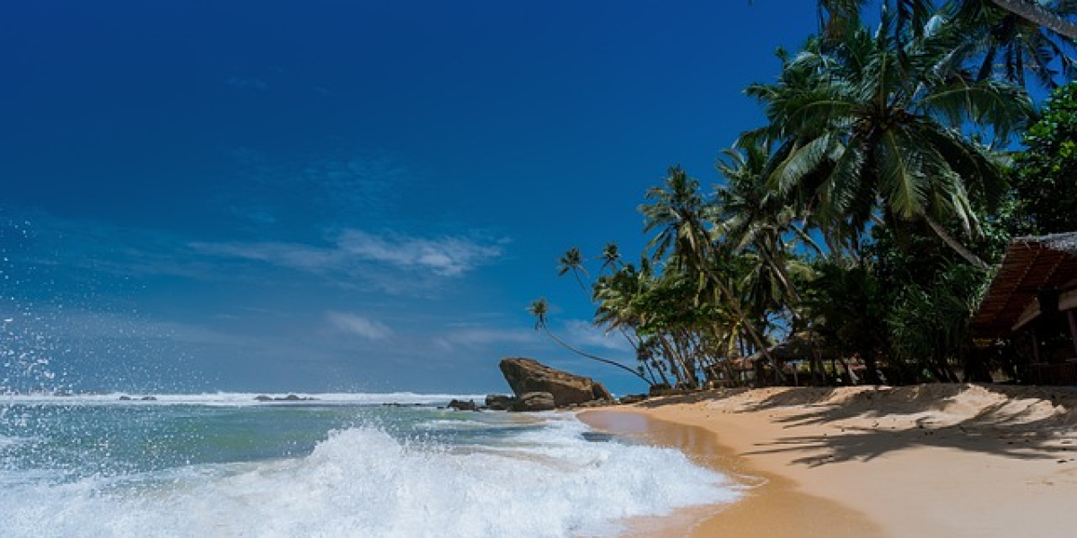 Gifts in Love: Expressions of Affection and Care