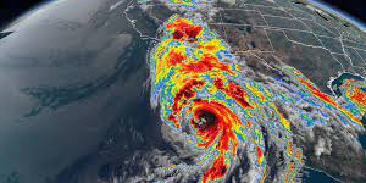 Battling the Storm: Surviving Hurricane Hilary