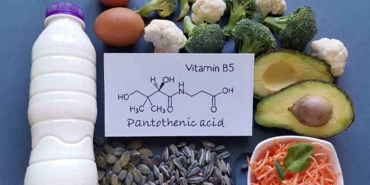 Setting up a Pantothenic Acid Manufacturing Plant: Project Report 2023 and Business Plan
