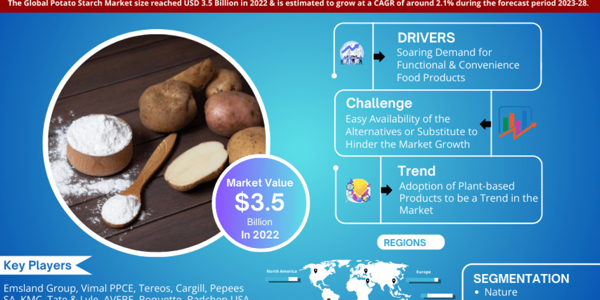 2028 Global Potato Starch Market Analysis: Key Players and Growth Forecast