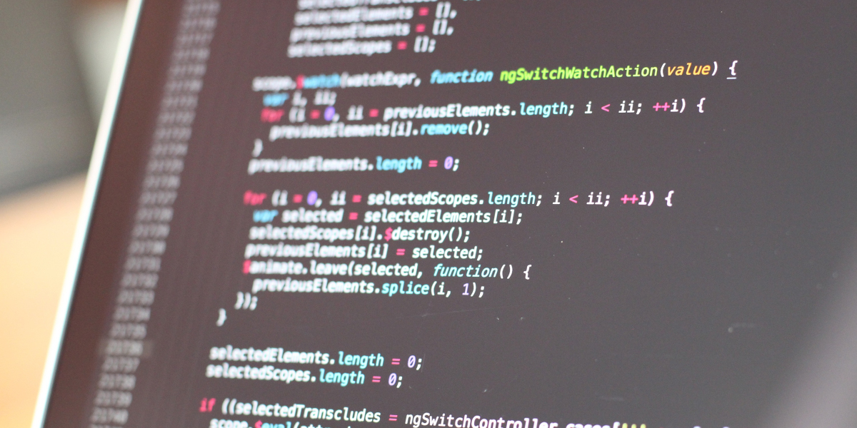 Case studies of successful custom software development projects