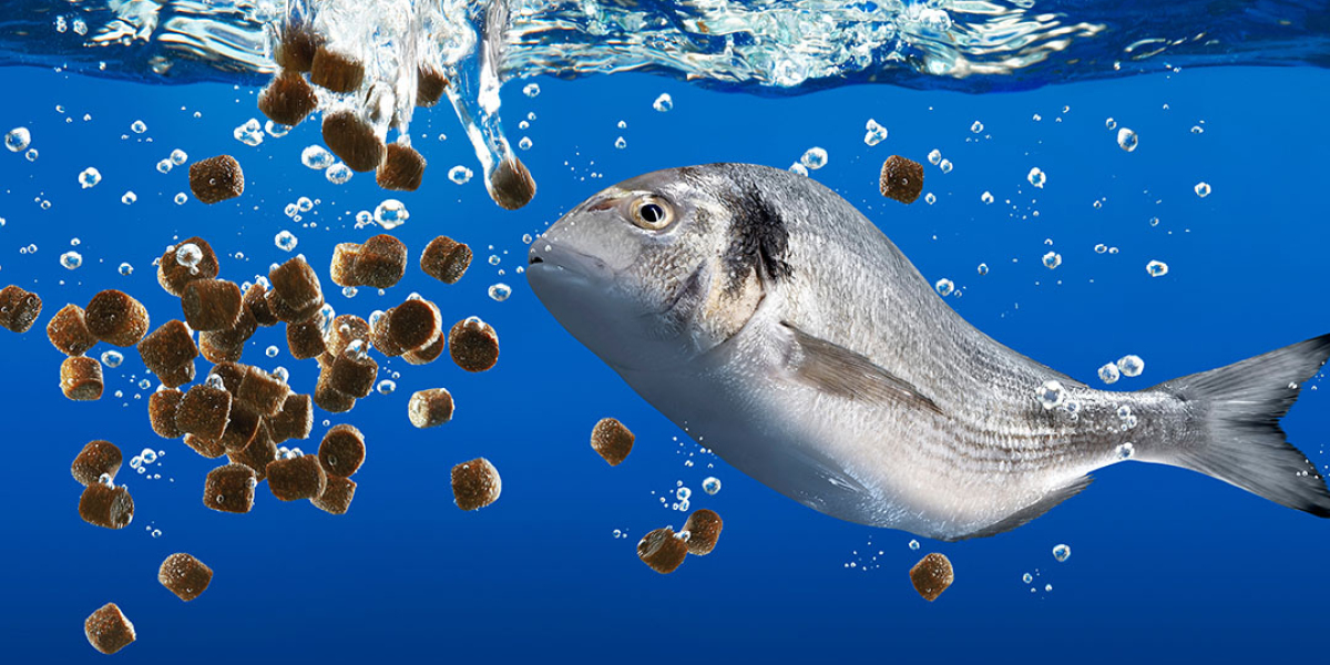 Aquafeed Market Trends, Size, Share, Growth, Analysis, Key Players, and Forecast 2023-2028