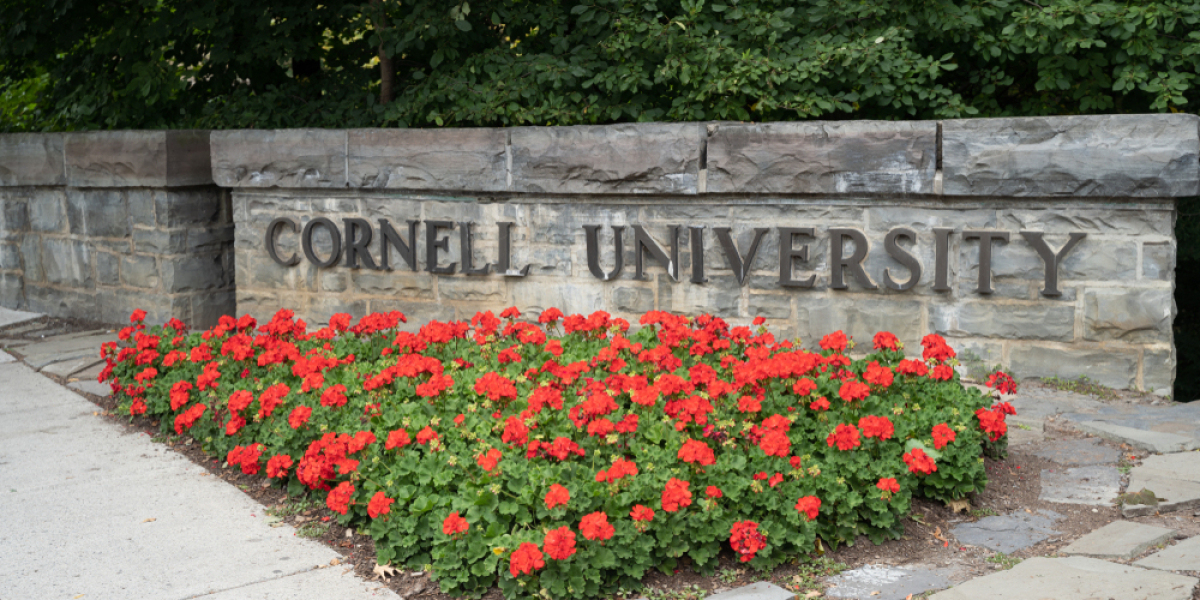 Navigating Success: Your Comprehensive Guide to the Cornell MBA Experience