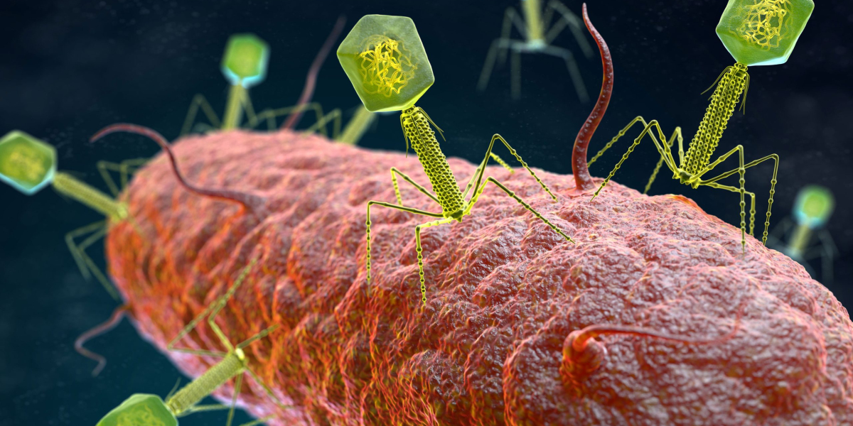 Market Is Estimated To Witness High Growth Owing To Increasing Prevalence of Antimicrobial Resistance and Rising Adoptio