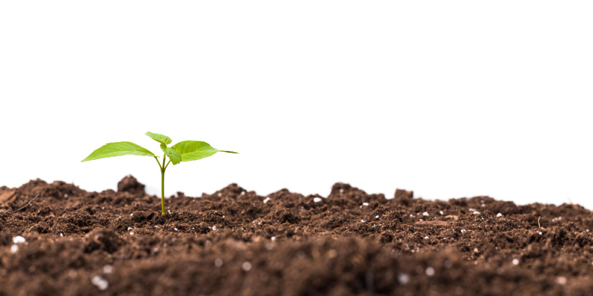 Asia Pacific Fertilizer Market Size, Share, and Forecasts to 2032