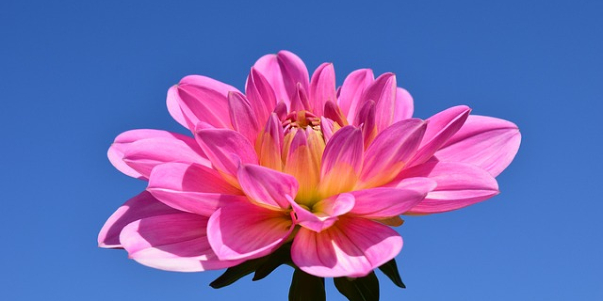 The use of adult products: concrete expressions of love