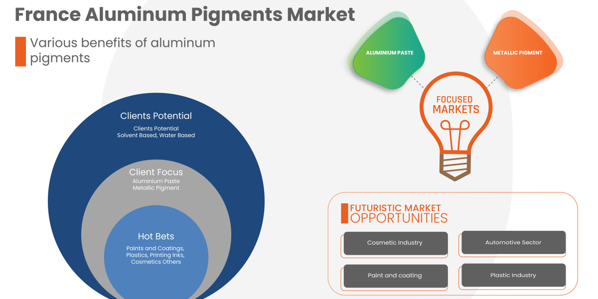 France Aluminum Pigments Overview, Growth Analysis, Share, Opportunities, Trends and Global Forecast By 2029