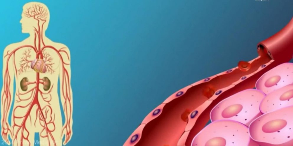 Diabetes: Strategic Consulting for Regulatory and Market Excellence