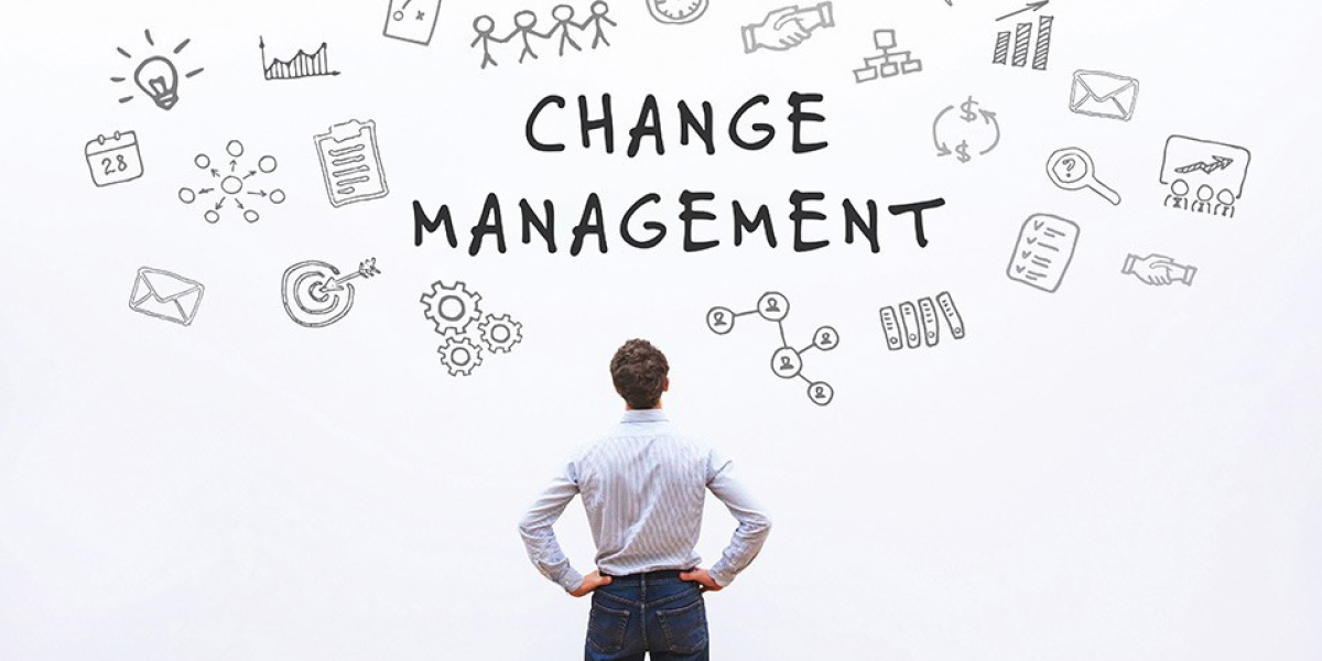 Navigating Change: Strategies and Insights in Change Management