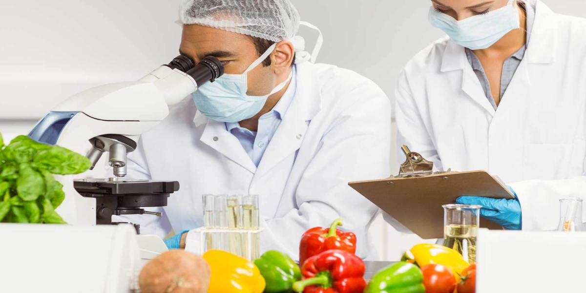 Food Safety Products and Testing Market Is Estimated To Witness High Growth