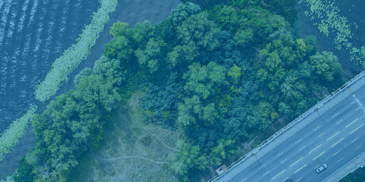 How Does Mould Remediation Improve The Air You Breathe In Sydney?