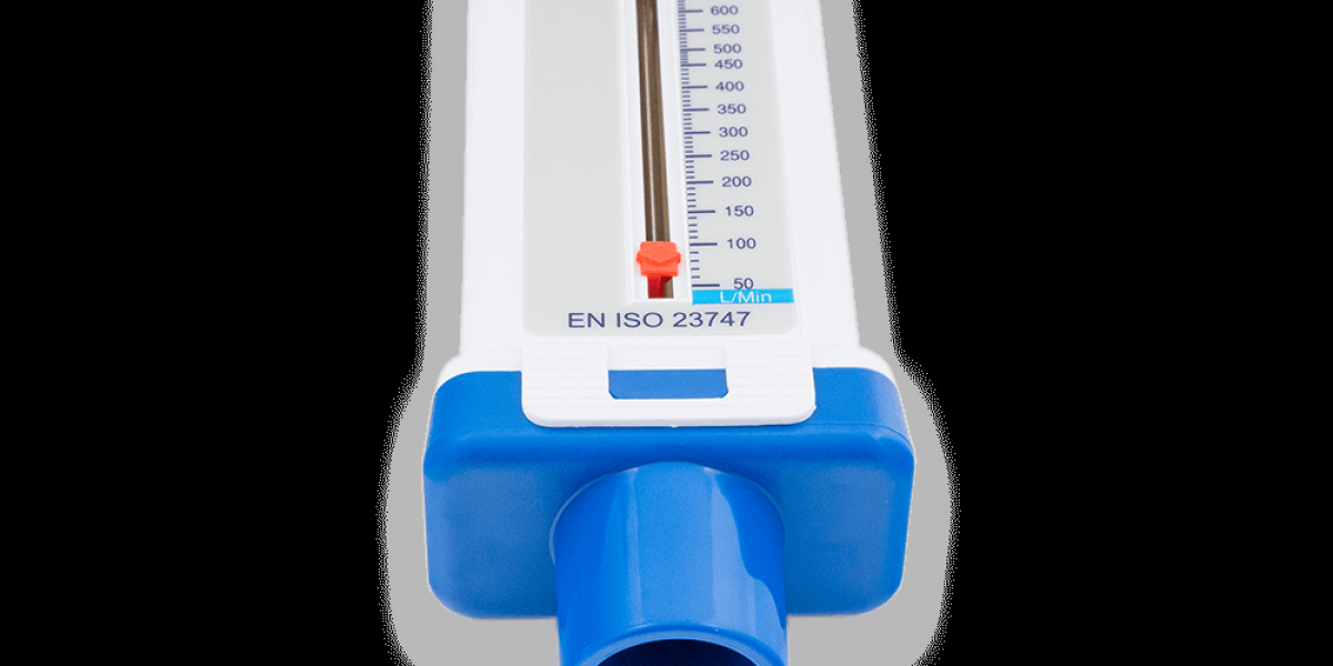 Peak Flow Meter Manufacturing Plant Project Report 2023: Investment Opportunities