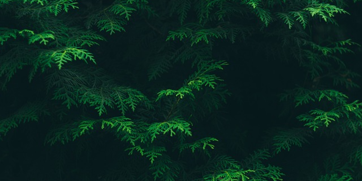 Sexual Pressure in Relationships: How to Cope