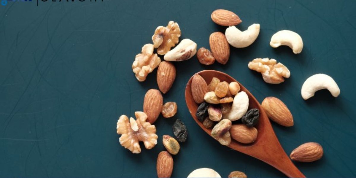 North America Alternative Proteins Market Size, Trends, Growth 2024-2032