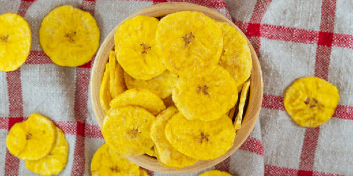 Organic Chips Market Size, Restraints, Portfolio, and Forecast 2030