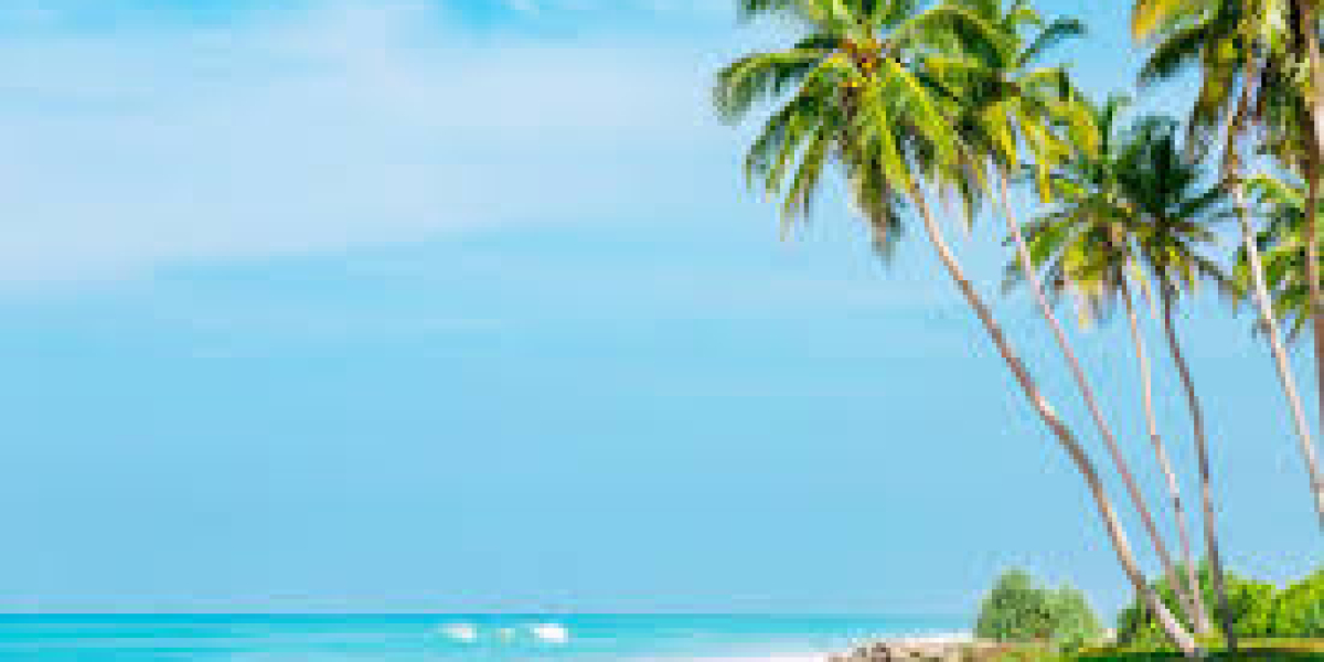 The Bear Den, September 20, 2023