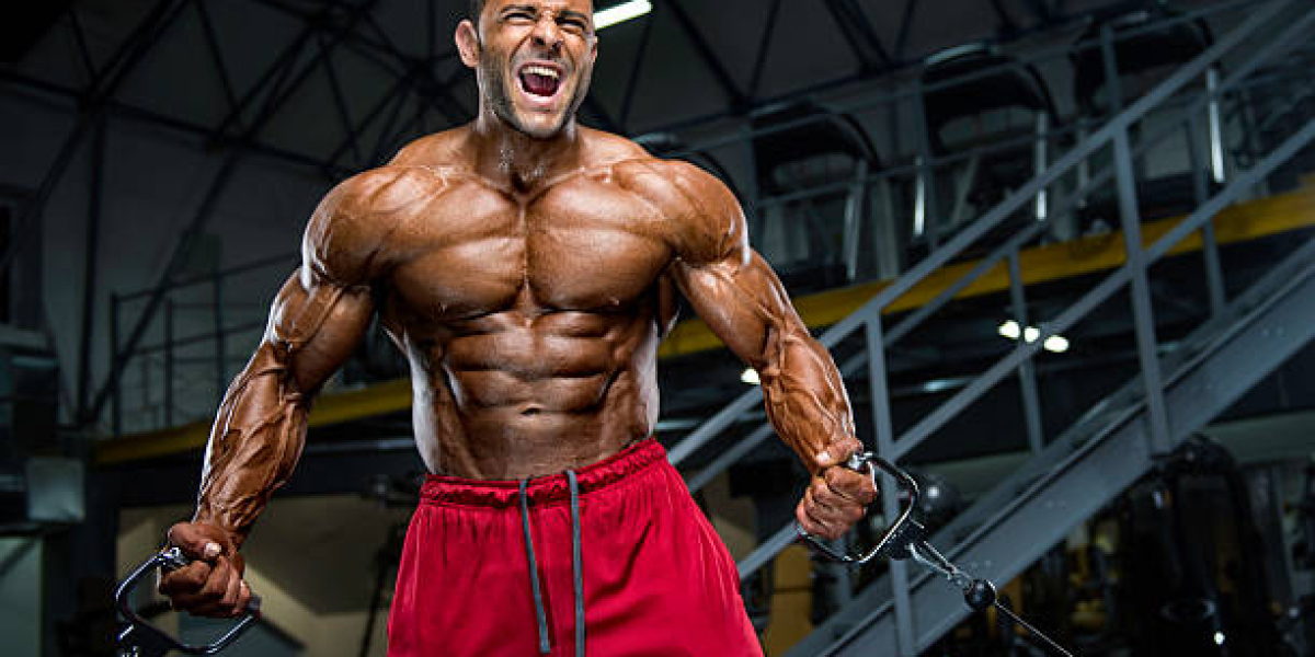 Exploring Crazy Bulk Osta 2866 Side Effects: What You Need to Know