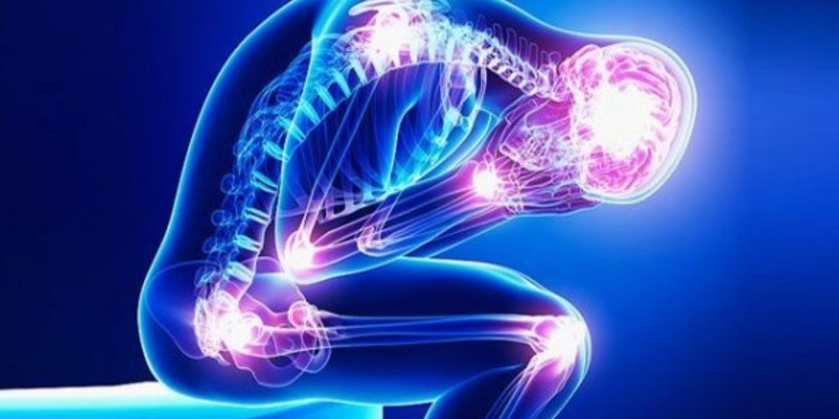 Global Fibromyalgia Treatment Market Is Estimated To Witness High Growth v