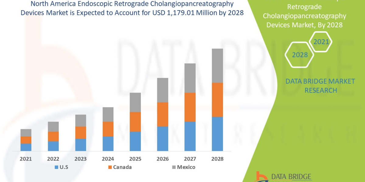 Emerging Trends and Opportunities in the    Middle East and Africa Hunter Syndrome Treatment   Market: Forecast to 2028