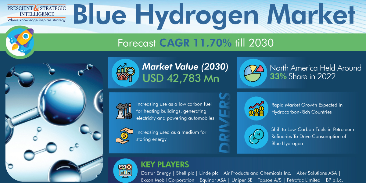 Blue Hydrogen Market Share, Size, Future Demand, and Emerging Trends