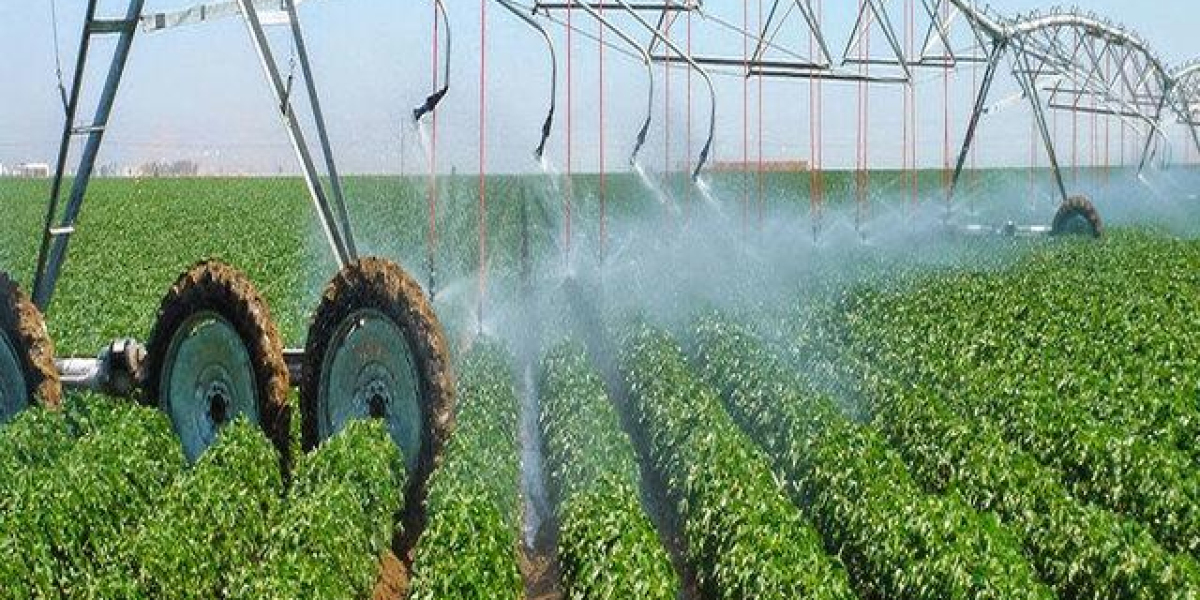 Amino Acid Water-soluble Fertilizers Market Analysis, Status and Business Outlook| Haifa Chemicals, Yara Chemicals