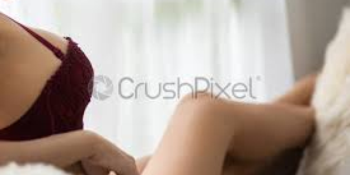 Jaipur Escort Service