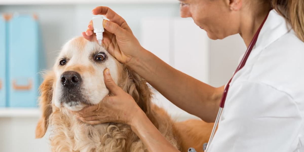 The Rising Demand for Animal Healthcare Products Drives Market Growth