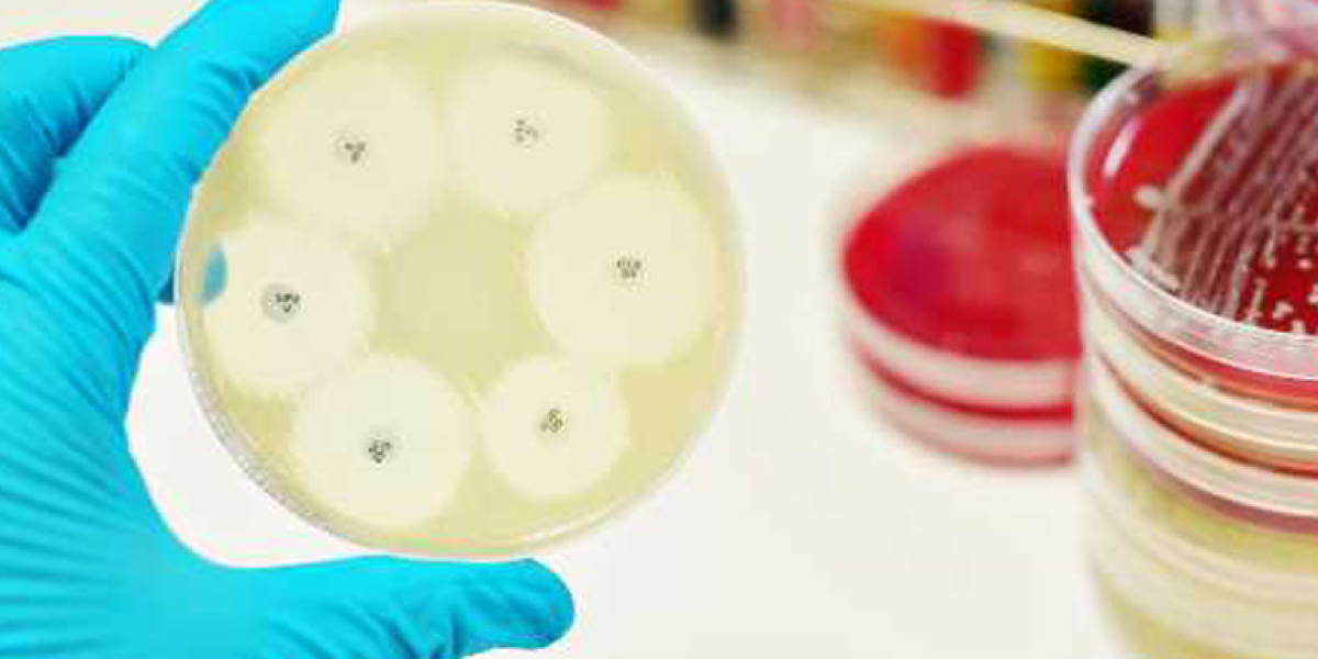 Antimicrobial Additives Industry Set to Expand to US$ 20,809.5 Million by 2033 with 8.0% CAGR