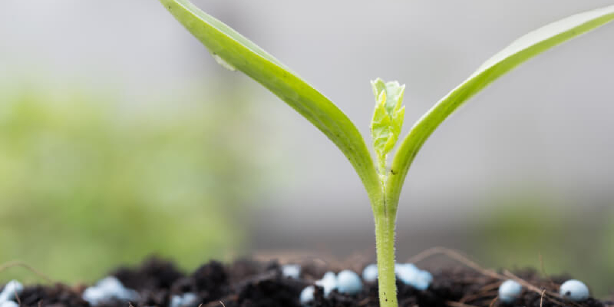 Controlled Release Fertilizers Granules Market Size, Share By Development, Trend, Key Manufacturers 2031