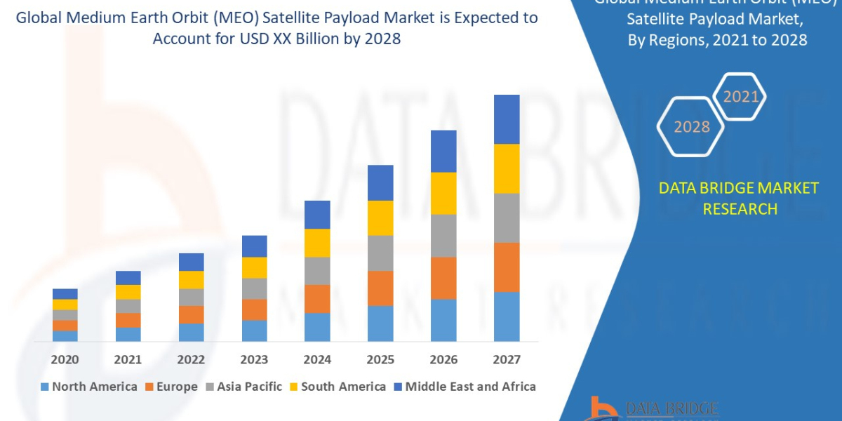 Medium Earth Orbit (MEO) Satellite Payload Market Business ideas and Strategies forecast by 2028