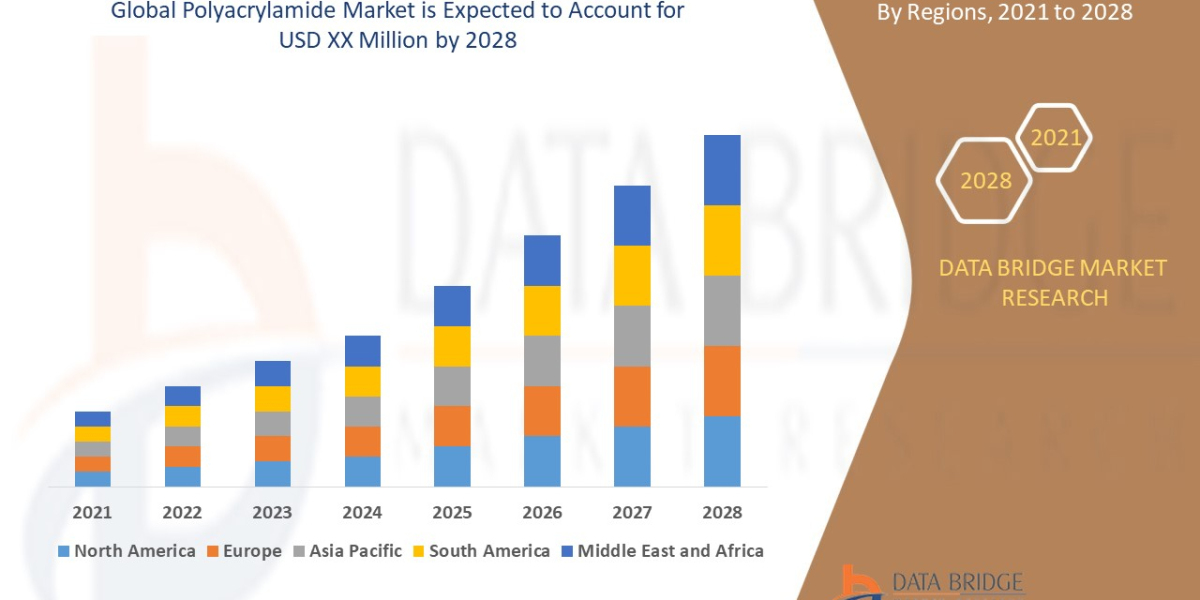Polyacrylamide Drivers, Trends and Restraints: Analysis and Forecast by 2028