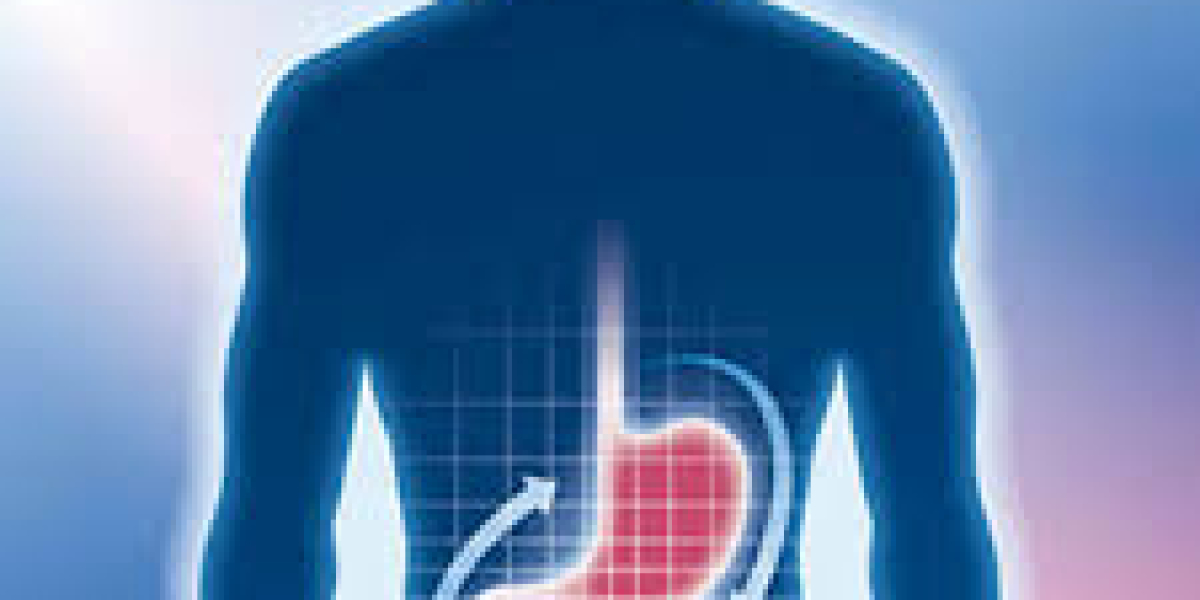 Functional Dyspepsia Market Share, Research Report & Industry Trends 2023-2033