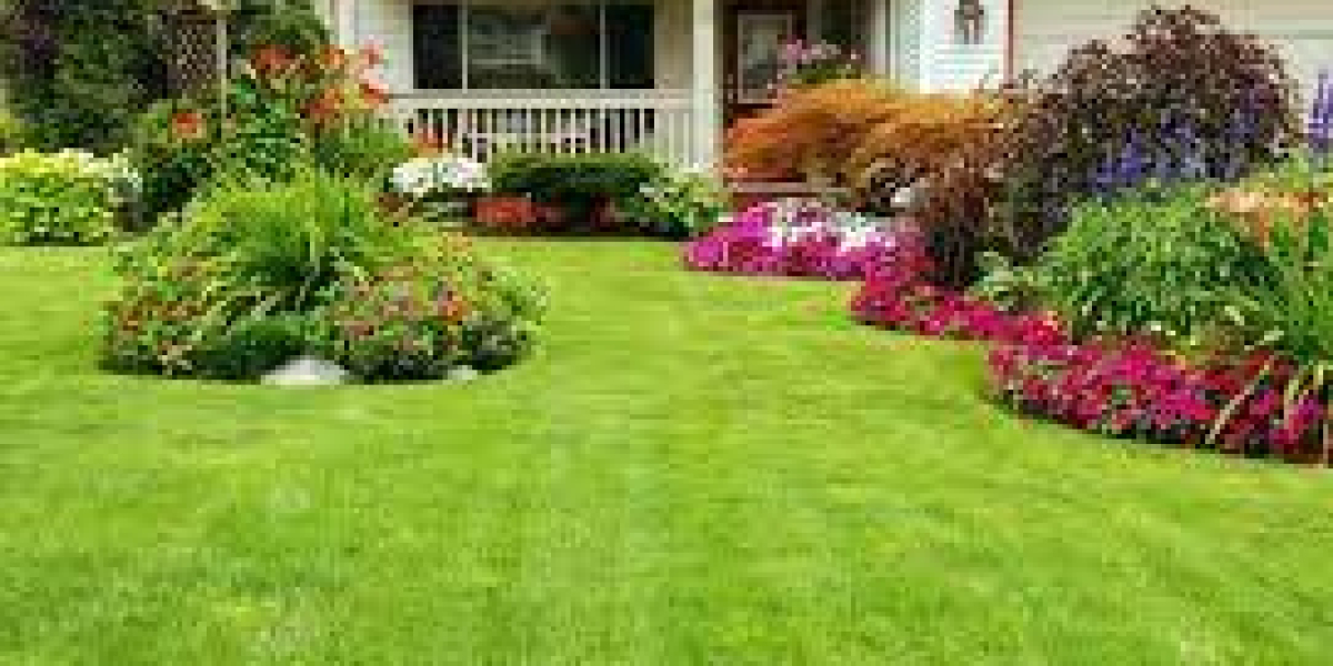 Gainesville's Stump Grinding Solutions